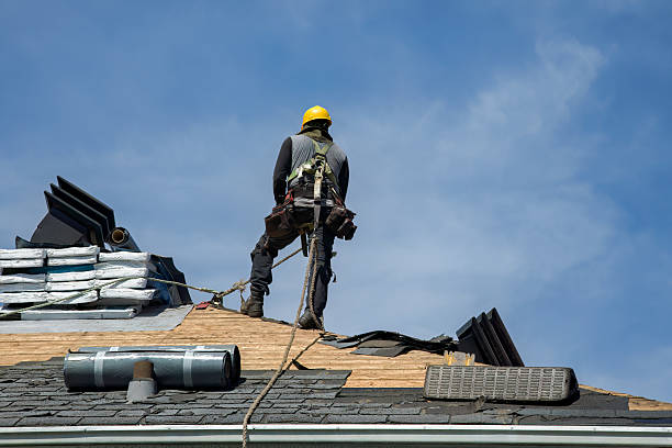Professional Gutter Installation technician working in Lochgelly, WV